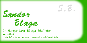 sandor blaga business card